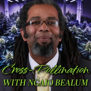 Cross-Pollination with Ngaio Bealum